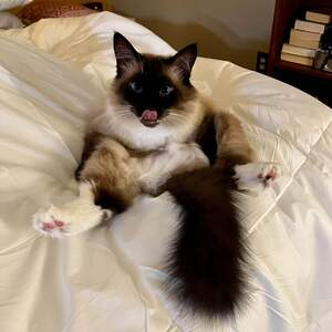 Fundraising Page: Katie Copty